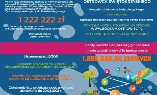 A flyer about the citizens' budget